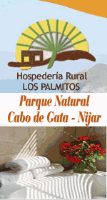 HMS Real estate agency San Jos�