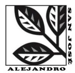 Alejandro San José: Mantenimiento casas, jardines y piscinas