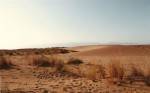 dunas almoladeras