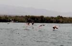 Playa del Charco