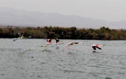Playa del Charco