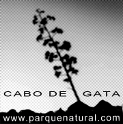 Cabo de Gata www.parquenatural.com