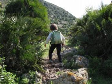 barranco requena ruta sendero cabo de gata