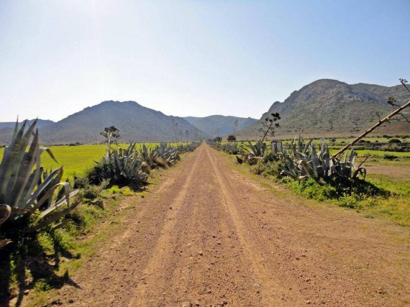 camino parque natural cabo de gata