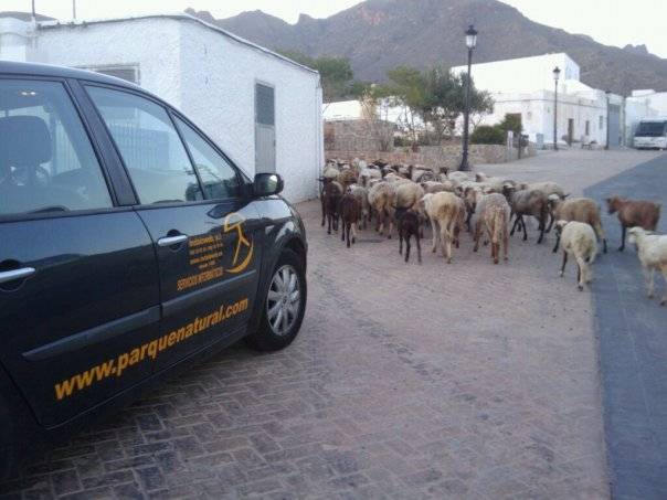 Transporte Parque Natural Cabo de Gata