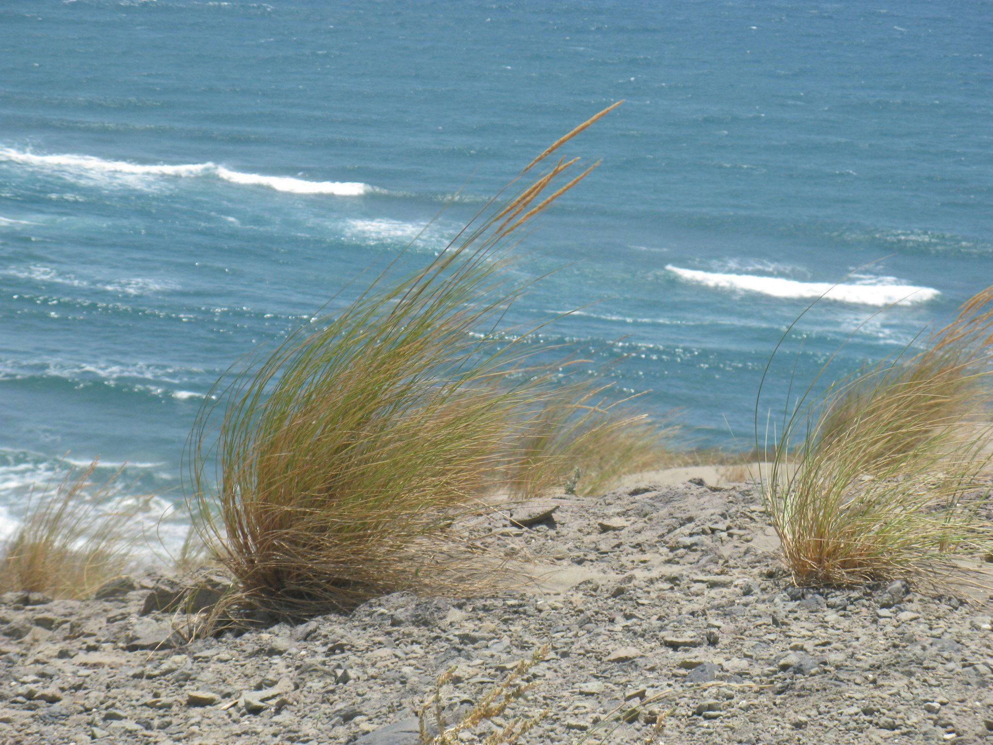 concurso de fotografia cala grande las negras