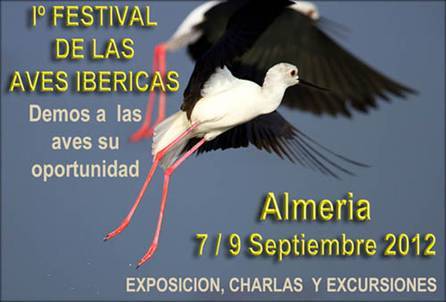 festival aves ibericas cabo de gata