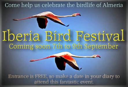 Iberia Bird Festival en cabo de gata rodalquilar