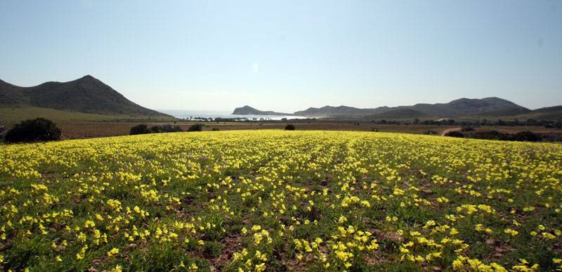 Parque Natural Cabo de Gata Níjar -  Campillo de Genoveses- Santiago Domenech 