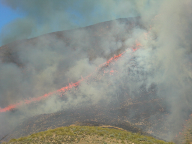 incendio en el parque natural de cabo de gata nijar