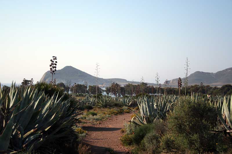 senda valle de los genoveses parque natural de Cabo de gata