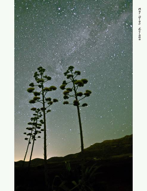 cielos nocturnos pn cabo de gata