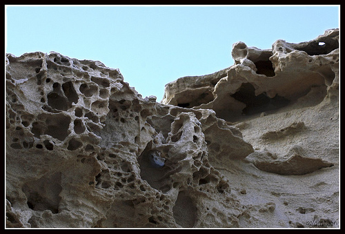 duna fosil escullos