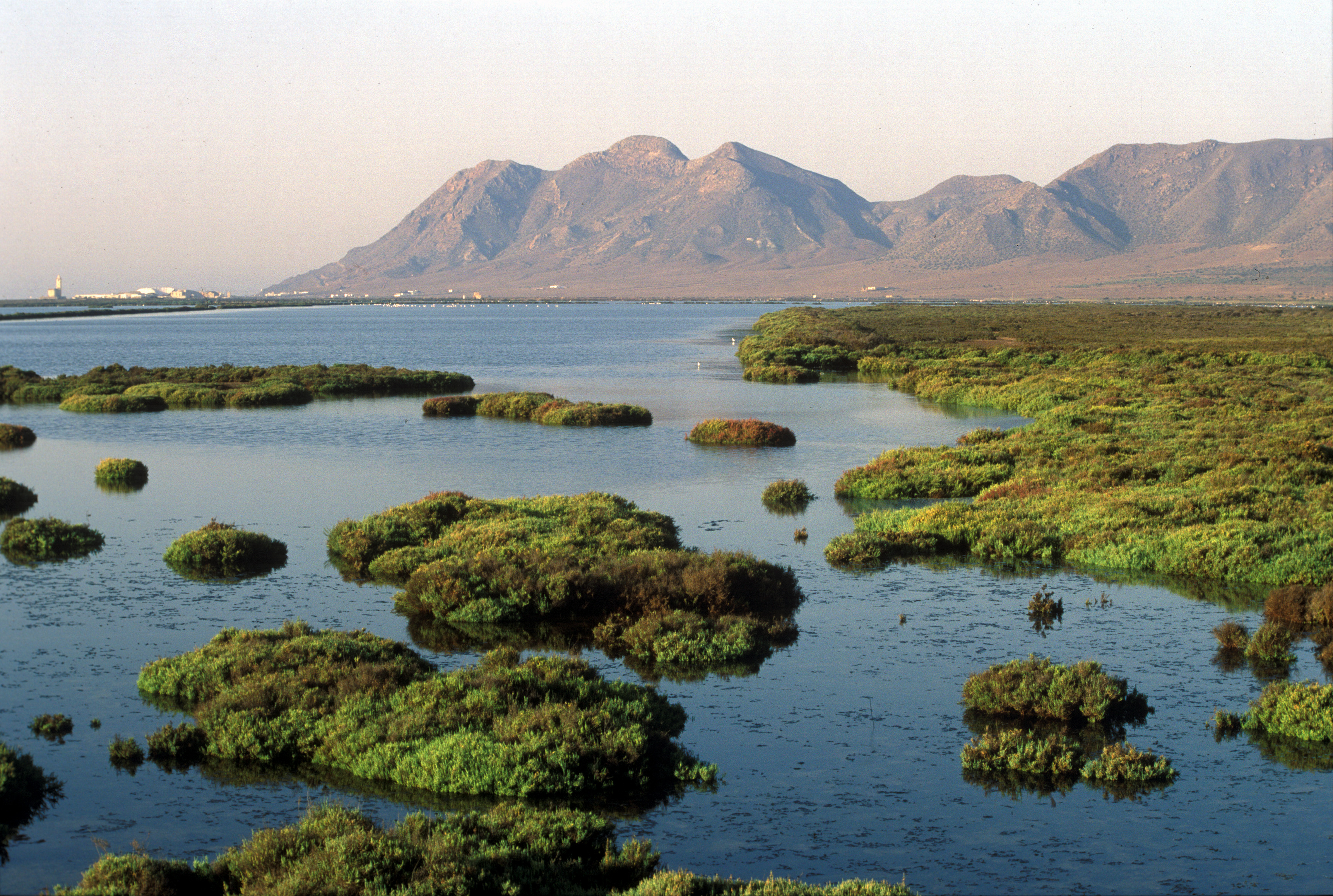 humedales en las salinas de cabo de gata