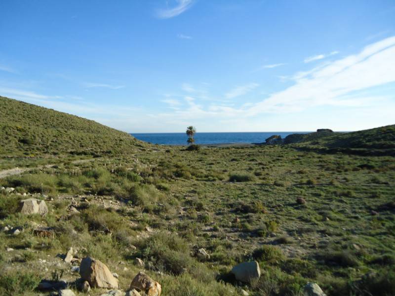 Quintana de la serena mujer soltera Quintana de la serena mujer soltera