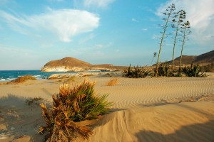 foto de Los visitantes a las playas con acceso regulado de Cabo de Gata Los visitantes a las playas con acceso regulado de Cabo de Gata