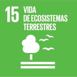 S SDG Icons 01 15 (1)